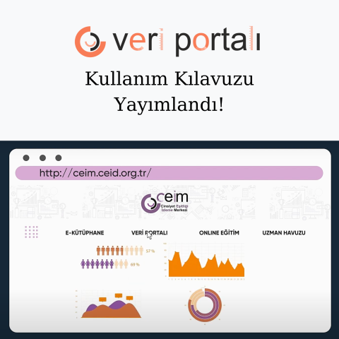 CEİM Veri Portalı Kullanım Kılavuzu Yayımlandı!