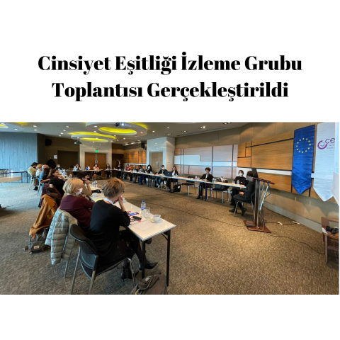 Cinsiyet Eşitliği İzleme Grubu Toplantısı Gerçekleştirildi