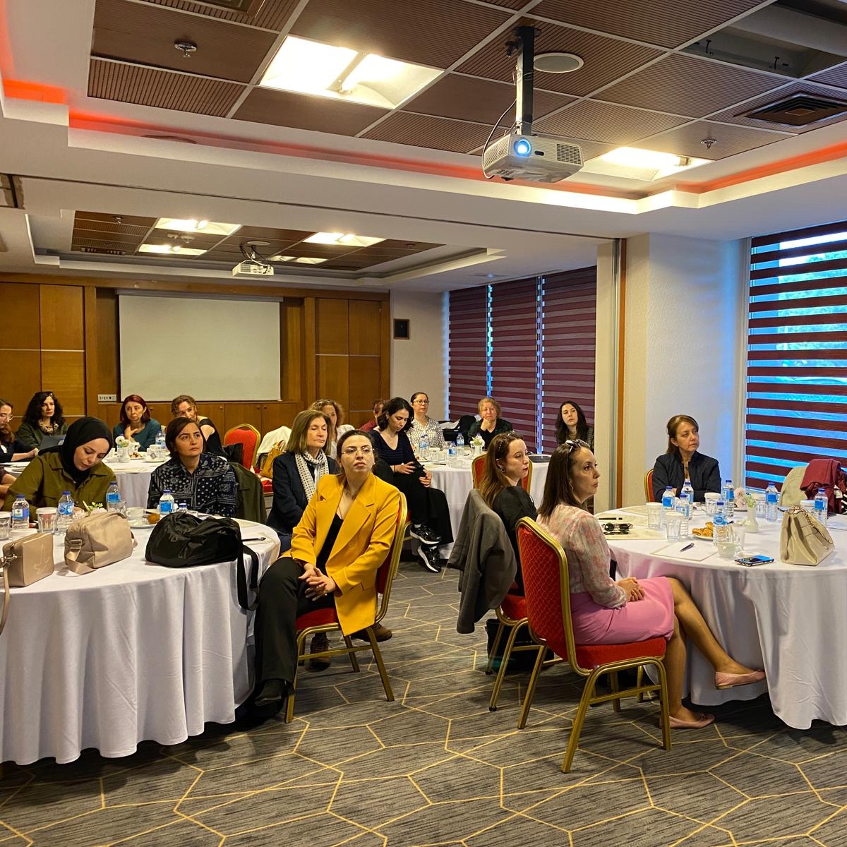 Toplumsal Cinsiyet Eşitliğinde Israrcı Olmak: Toplumsal Cinsiyet Karşıtlığı, Karşı Stratejiler ve Umudu Korumak