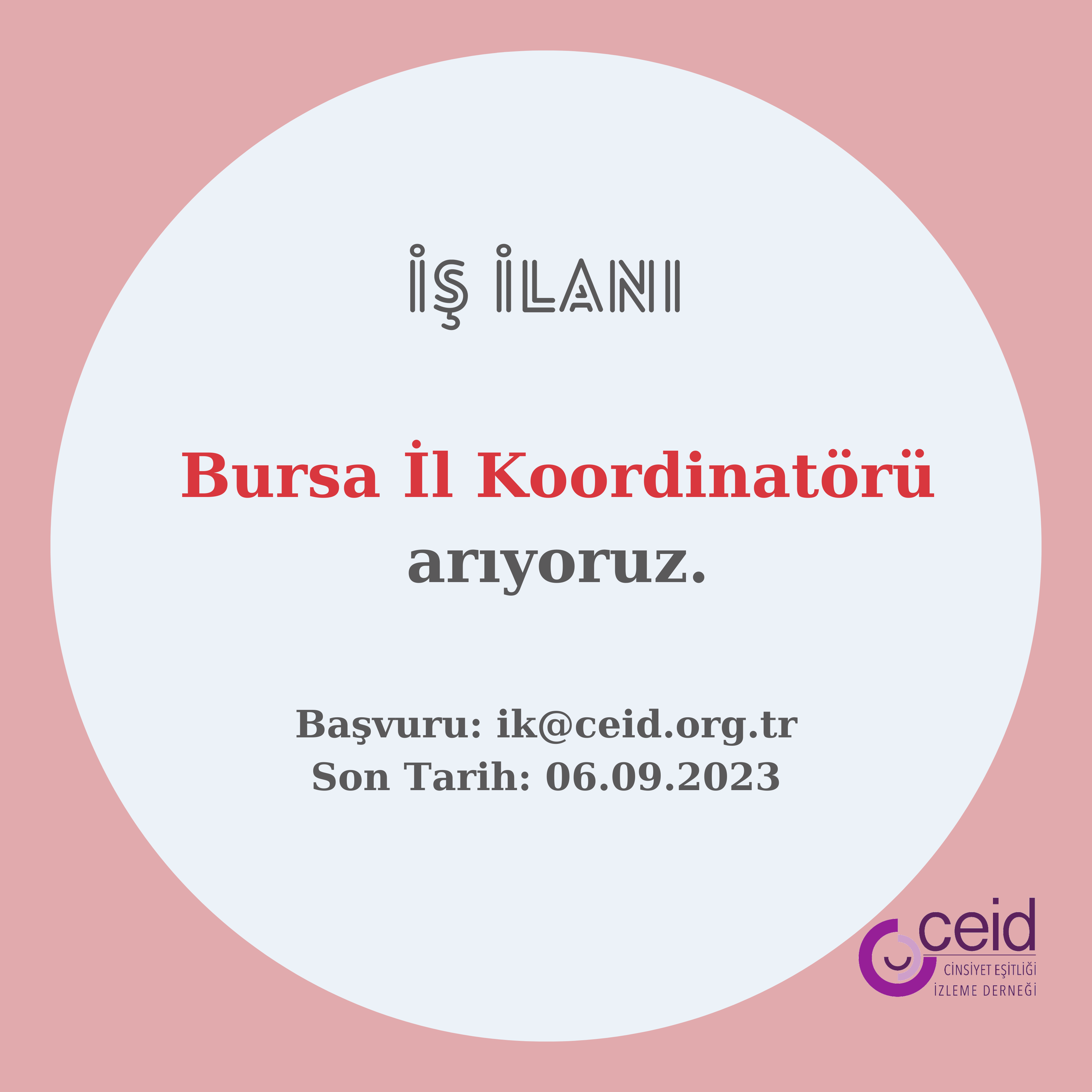 İş İlanı: Bursa İl Koordinatörü