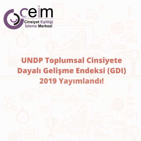 UNDP Toplumsal Cinsiyete Dayalı Gelişme Endeksi 2019 Yayımlandı!