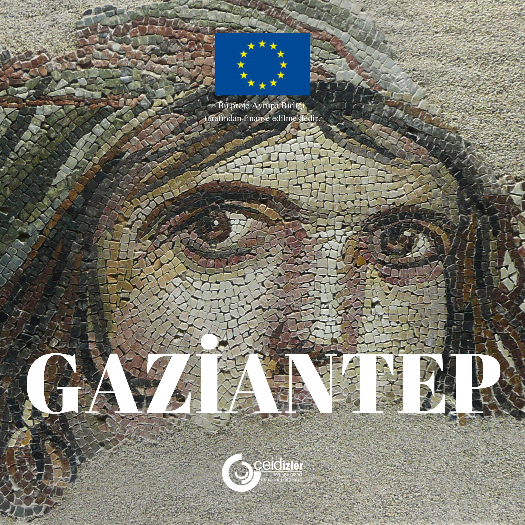 CEİD | Gaziantep Yerel Eşitlik İzleme Platformu