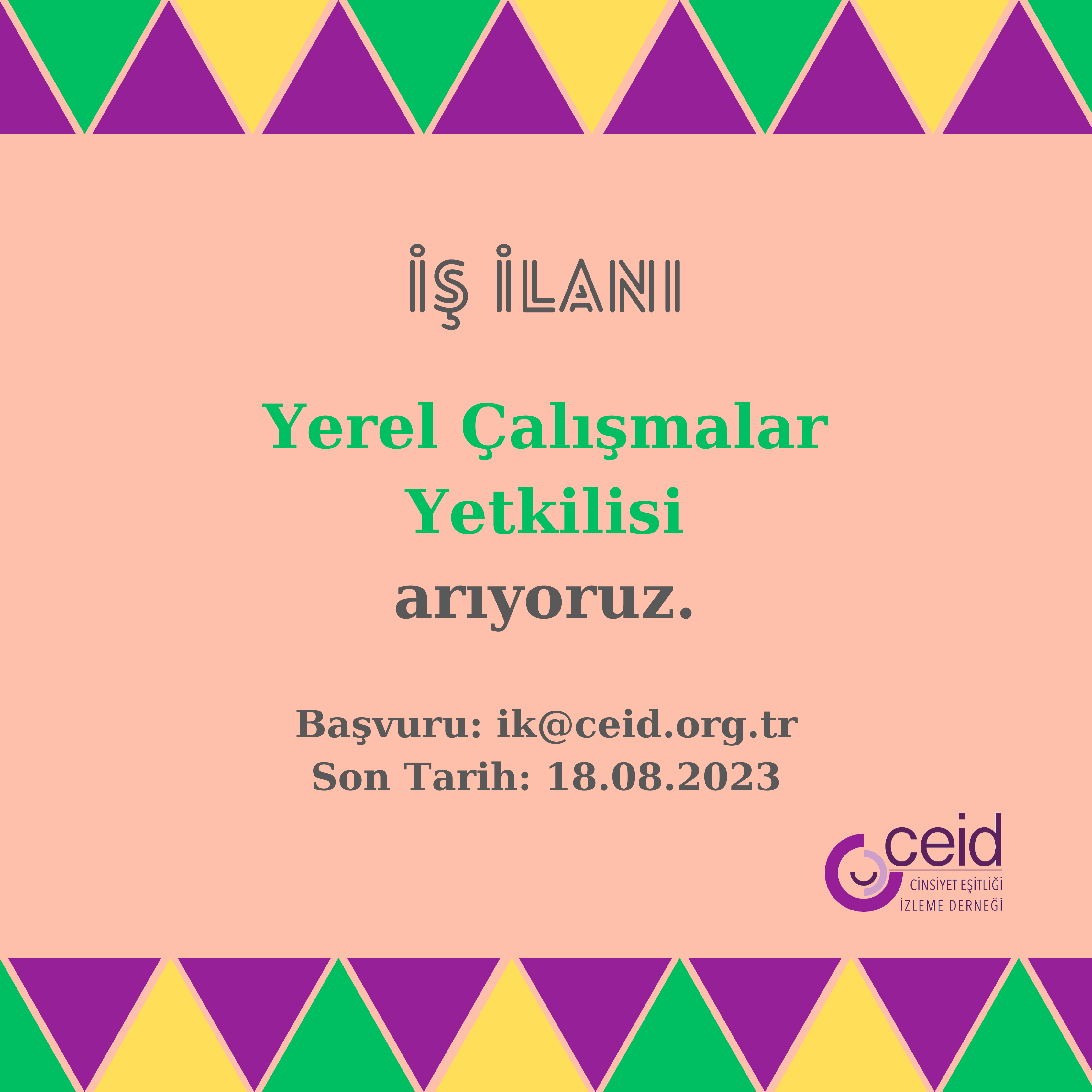 İş İlanı: Yerel Çalışmalar Yetkilisi