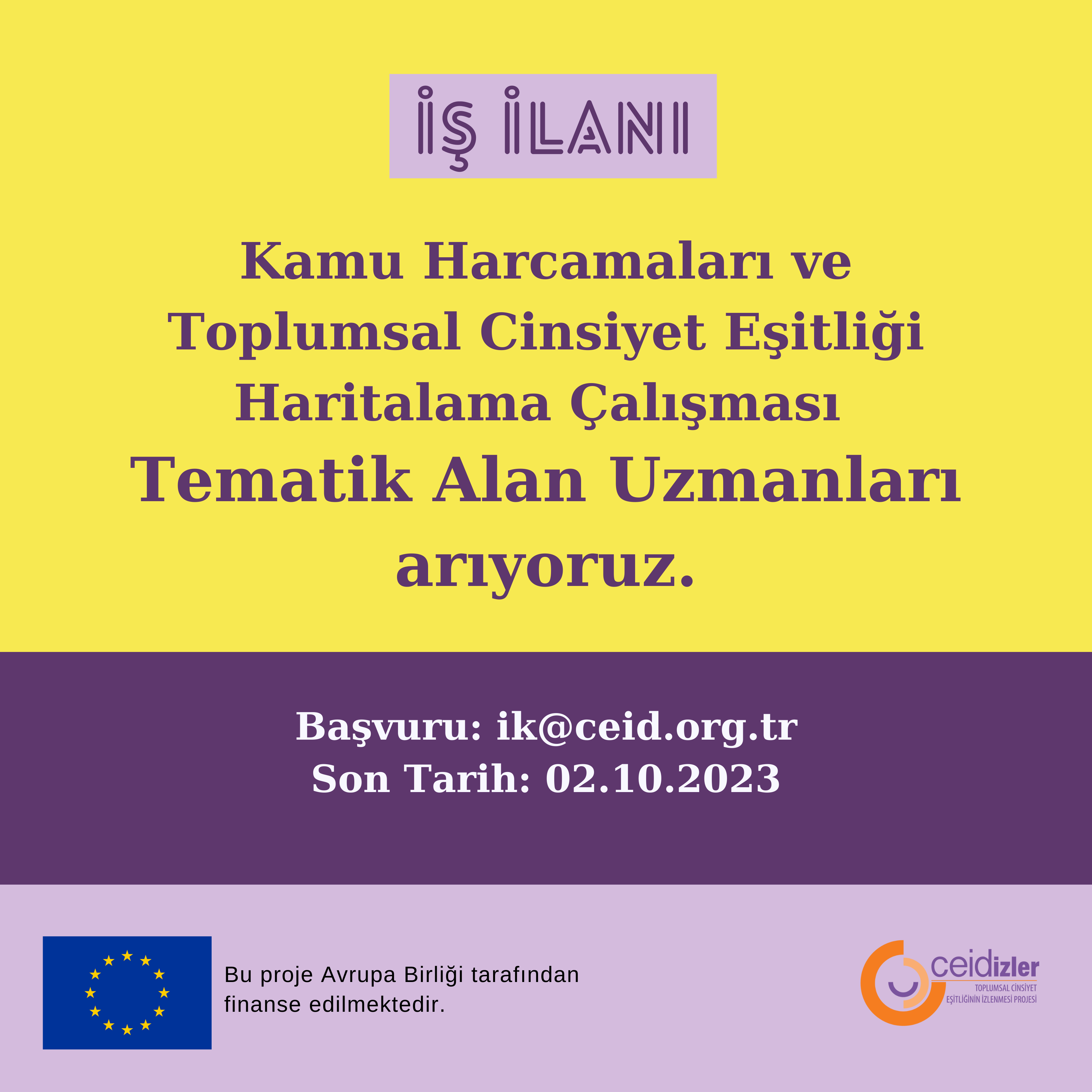 İş İlanı: Kamu Harcamaları ve Toplumsal Cinsiyet Eşitliği