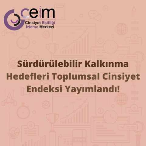 Equal Measures 2030-Sürdürülebilir Kalkınma Hedefleri Toplumsal Cinsiyet Endeksi