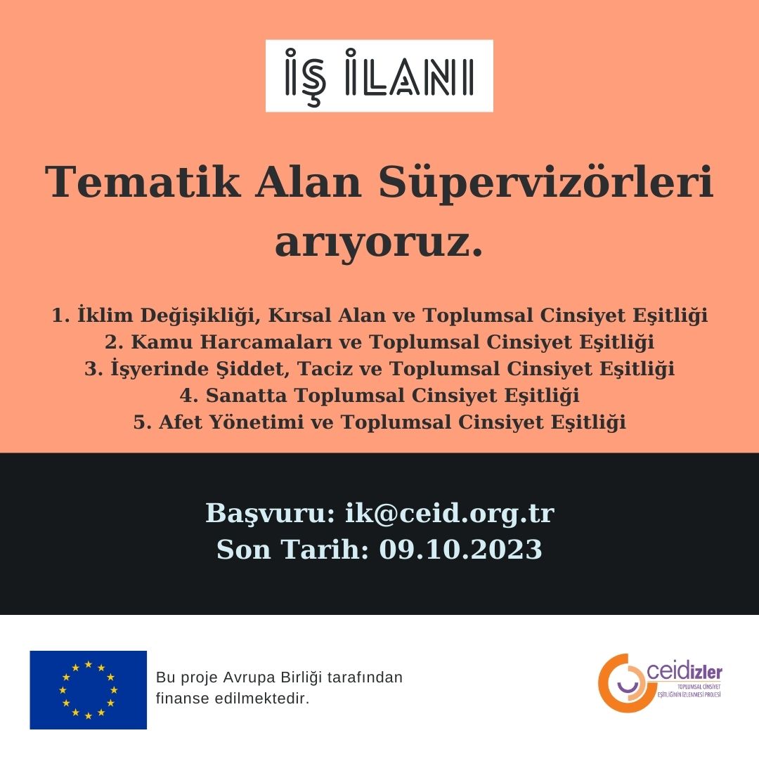 İş İlanı: Tematik Alan Süpervizörleri