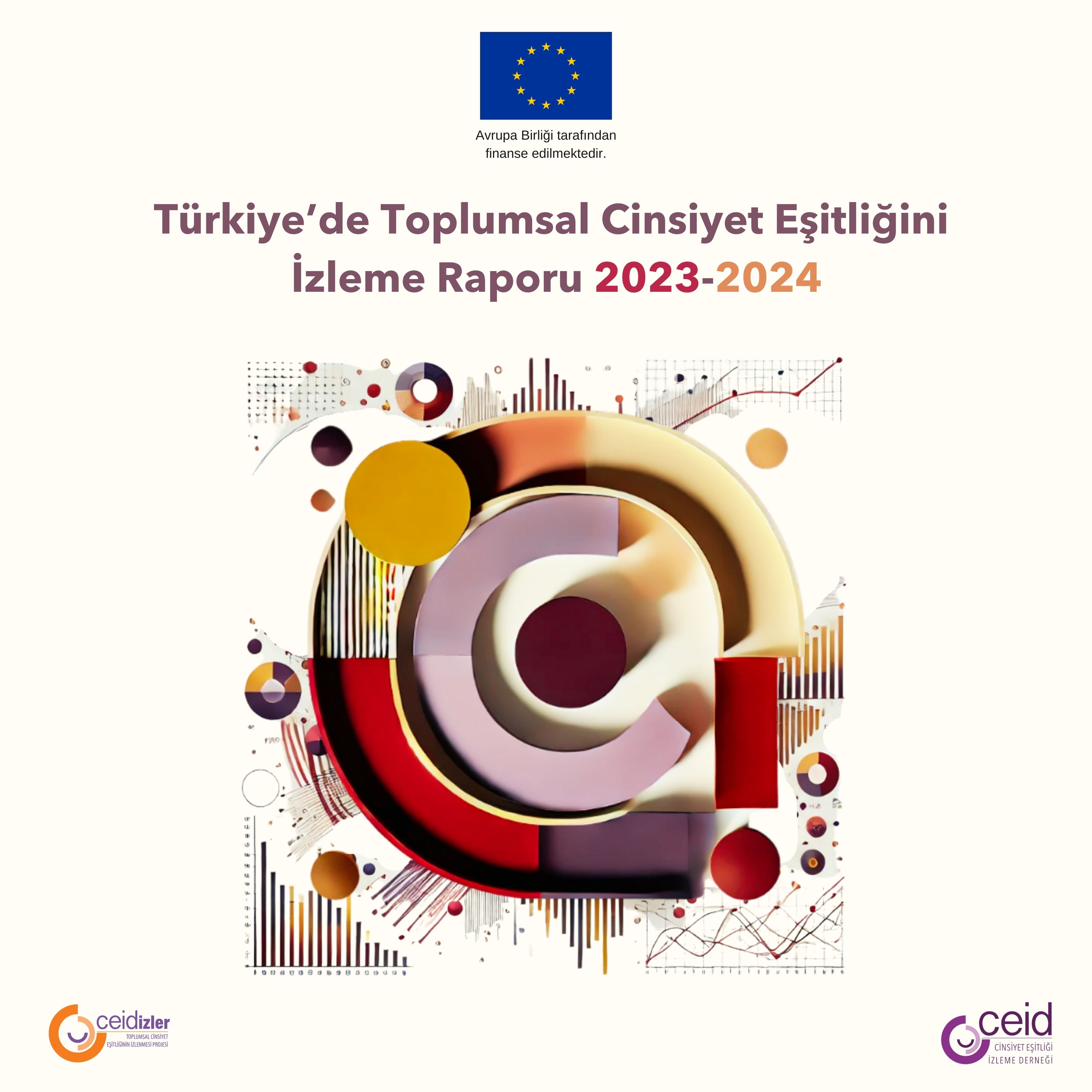 Türkiye’de Toplumsal Cinsiyet Eşitliğini İzleme Raporu 2023-2024