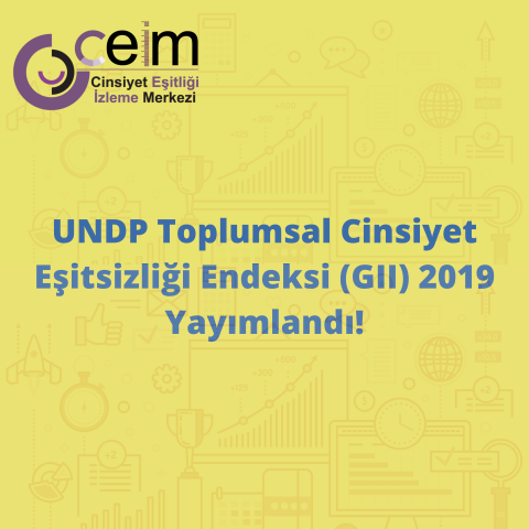 UNDP Toplumsal Cinsiyet Eşitsizliği Endeksi 2019 Yayımlandı