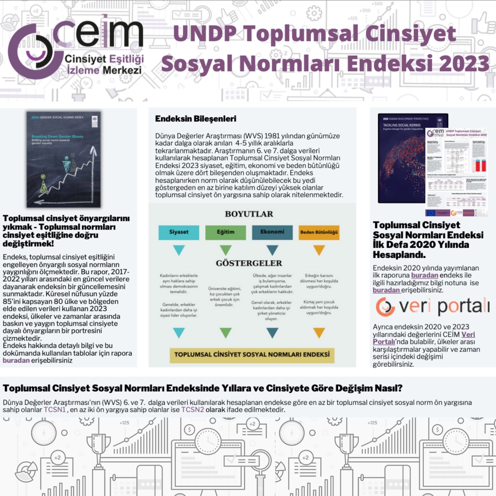 UNDP Toplumsal Cinsiyet Sosyal Normları Endeksi 2023 