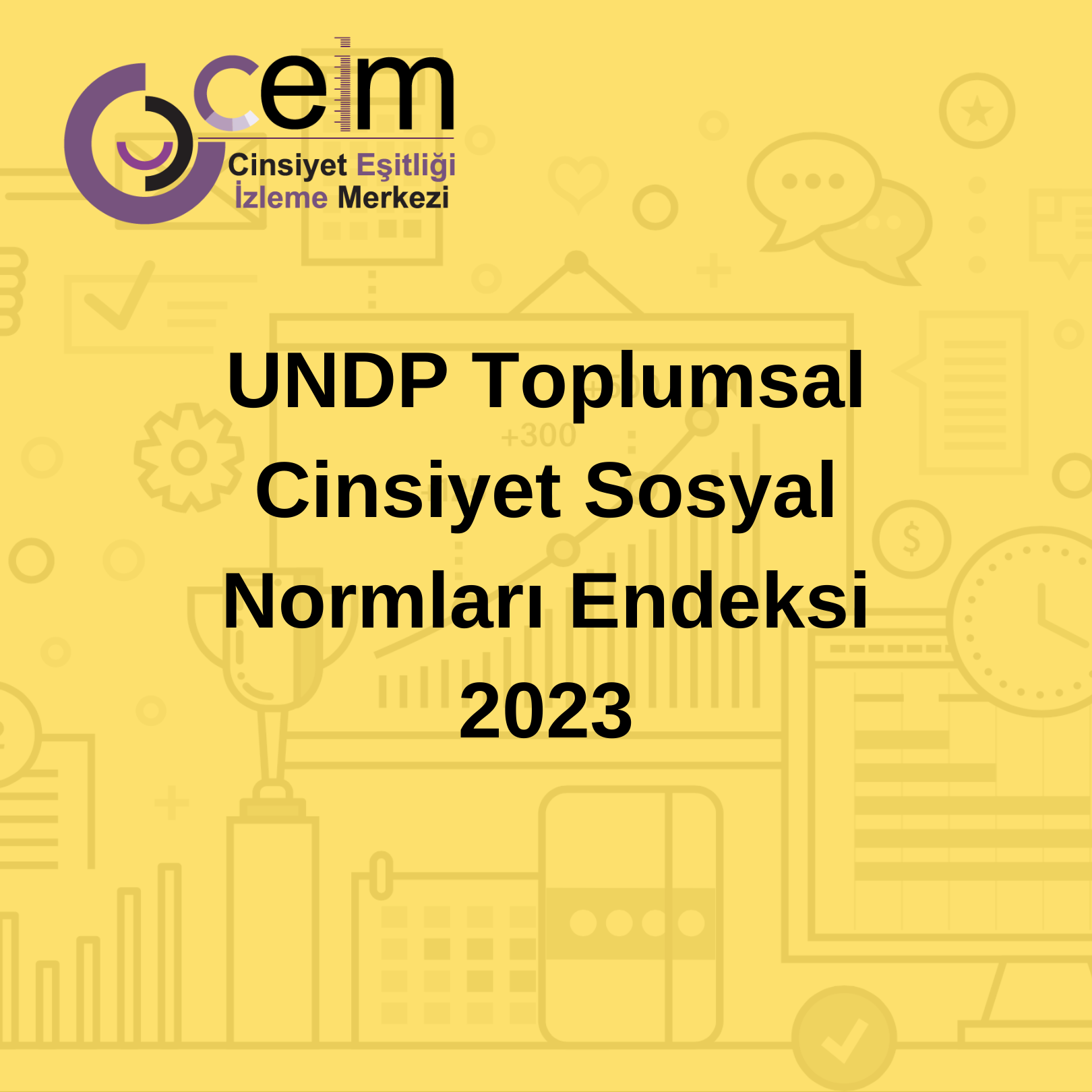 UNDP Toplumsal Cinsiyet Sosyal Normları Endeksi 2023