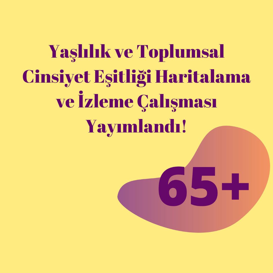  Yaşlılık ve Toplumsal Cinsiyet Eşitliği Haritalama ve İzleme Çalışması Yayımlandı