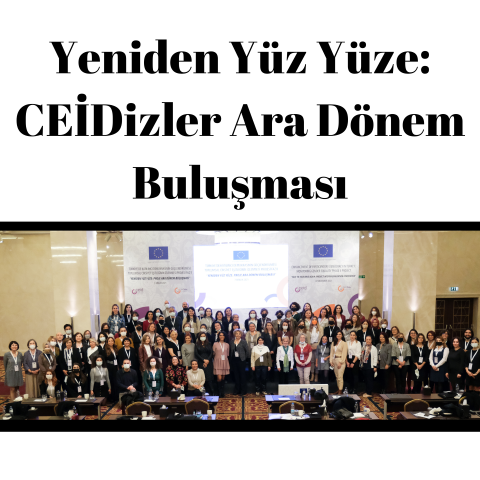 Yeniden Yüz Yüze: CEİDizler Ara Dönem Buluşması