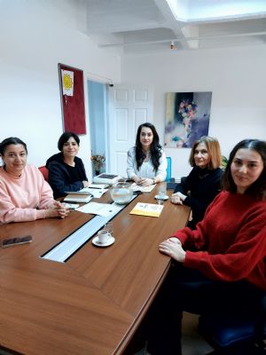 CEİDizler Faz III Ankara'da Yerel İşbirliklerini Güçlendiriyor | Cinsiyet Eşitliği İzleme Platformu